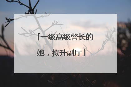 一级高级警长的她，拟升副厅