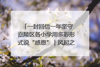 一封回信一年坚守 嘉陵区各小学用多彩形式说“感恩”｜风起之江 扶摇直上
