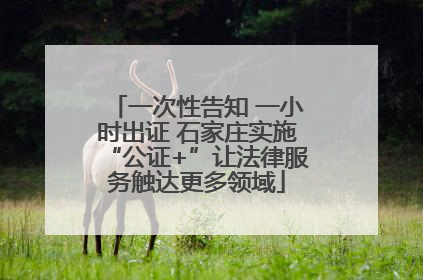 一次性告知 一小时出证 石家庄实施“公证+”让法律服务触达更多领域