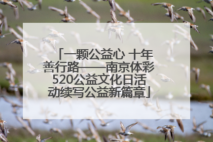 一颗公益心 十年善行路——南京体彩520公益文化日活动续写公益新篇章