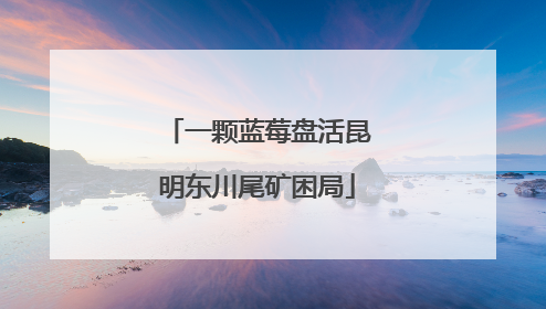 一颗蓝莓盘活昆明东川尾矿困局