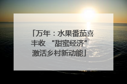 万年：水果番茄喜丰收 “甜蜜经济”激活乡村新动能