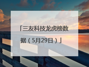 三友科技龙虎榜数据（5月29日）