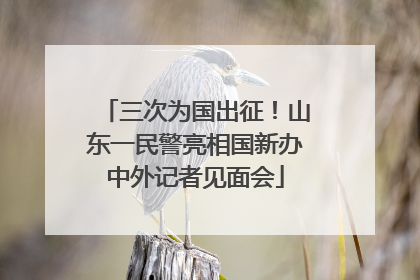 三次为国出征！山东一民警亮相国新办中外记者见面会