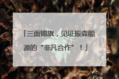三面锦旗，见证振森能源的“非凡合作”！