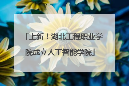 上新！湖北工程职业学院成立人工智能学院