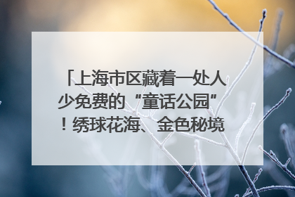 上海市区藏着一处人少免费的“童话公园”！绣球花海、金色秘境……地铁直达→