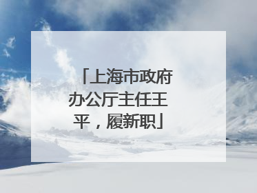 上海市政府办公厅主任王平，履新职
