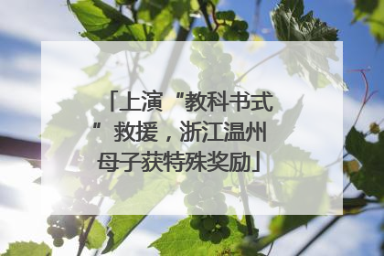 上演“教科书式”救援，浙江温州母子获特殊奖励