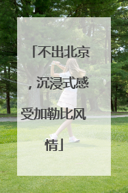 不出北京，沉浸式感受加勒比风情