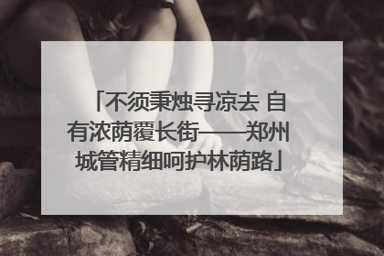 不须秉烛寻凉去 自有浓荫覆长街——郑州城管精细呵护林荫路