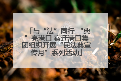与“法”同行 “典”亮港口 宿迁港口集团组织开展“民法典宣传月”系列活动