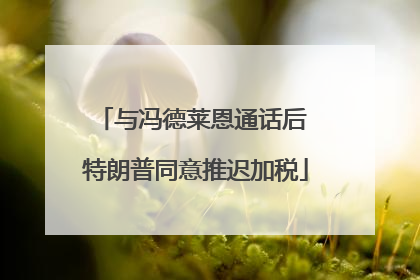 与冯德莱恩通话后 特朗普同意推迟加税