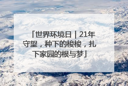 世界环境日｜21年守望，种下的梭梭，扎下家园的根与梦