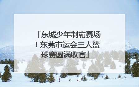 东城少年制霸赛场！东莞市运会三人篮球赛圆满收官