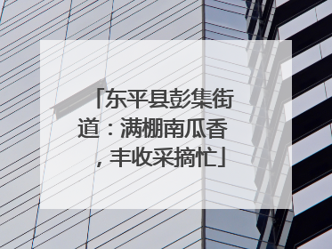 东平县彭集街道：满棚南瓜香，丰收采摘忙