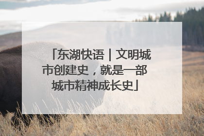 东湖快语｜文明城市创建史，就是一部城市精神成长史
