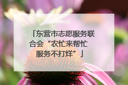 东营市志愿服务联合会“农忙来帮忙 服务不打烊”