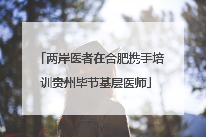 两岸医者在合肥携手培训贵州毕节基层医师