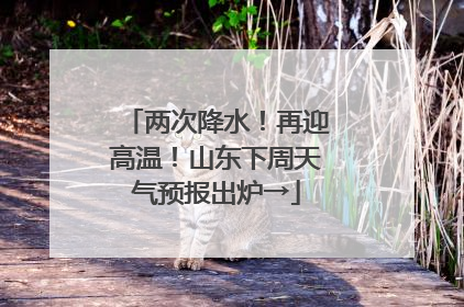 两次降水！再迎高温！山东下周天气预报出炉→