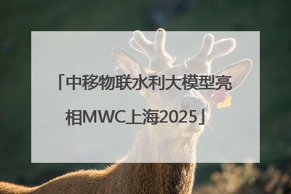 中移物联水利大模型亮相MWC上海2025