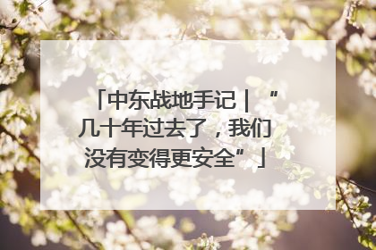 中东战地手记｜“几十年过去了，我们没有变得更安全”