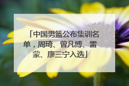 中国男篮公布集训名单，周琦、曾凡博、雷蒙、廖三宁入选