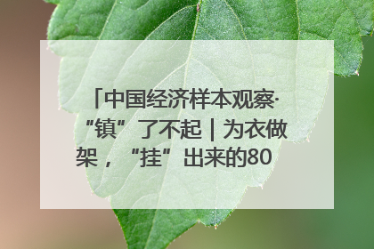 中国经济样本观察·“镇”了不起｜为衣做架，“挂”出来的80亿元“衣架产业”