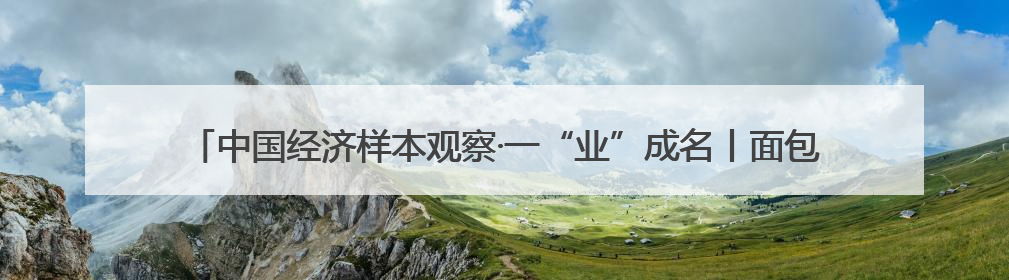 中国经济样本观察·一“业”成名丨面包“总动员”！“走”天下也“香”家乡