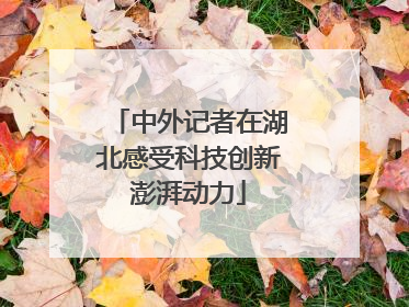 中外记者在湖北感受科技创新澎湃动力