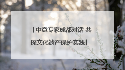 中意专家成都对话 共探文化遗产保护实践