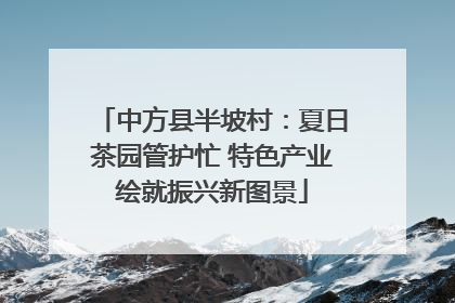 中方县半坡村：夏日茶园管护忙 特色产业绘就振兴新图景
