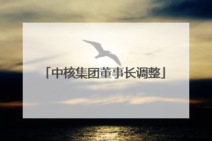 中核集团董事长调整