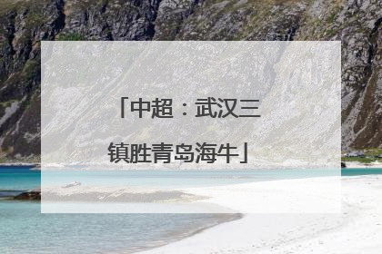 中超：武汉三镇胜青岛海牛