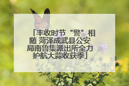 丰收时节“警”相随 菏泽成武县公安局南鲁集派出所全力护航大蒜收获季