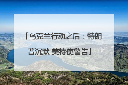 乌克兰行动之后：特朗普沉默 美特使警告