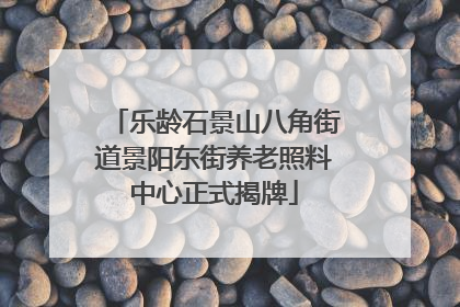 乐龄石景山八角街道景阳东街养老照料中心正式揭牌