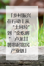 乡村振兴在行动丨从“土坷垃”到“金疙瘩” 卢龙甘薯串起富民产业链
