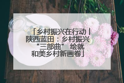 乡村振兴在行动丨陕西蓝田：乡村振兴 “三部曲” 绘就和美乡村新画卷