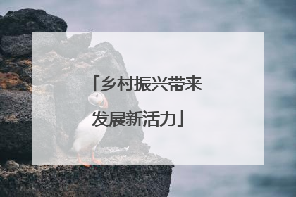 乡村振兴带来发展新活力