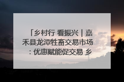 乡村行 看振兴｜嘉禾县龙潭牲畜交易市场：优惠赋能促交易 乡村振兴添动能