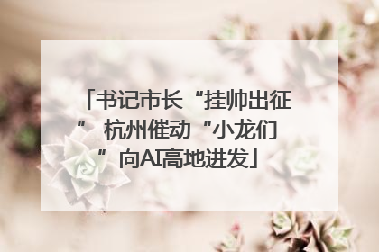 书记市长“挂帅出征” 杭州催动“小龙们”向AI高地进发
