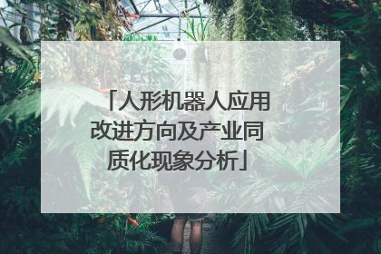 人形机器人应用改进方向及产业同质化现象分析