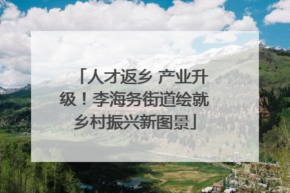 人才返乡 产业升级！李海务街道绘就乡村振兴新图景