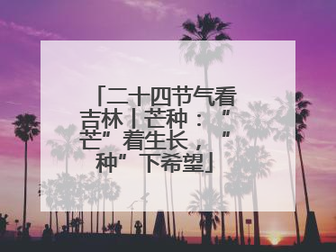 二十四节气看吉林丨芒种：“芒”着生长，“种”下希望