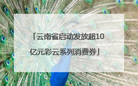 云南省启动发放超10亿元彩云系列消费券