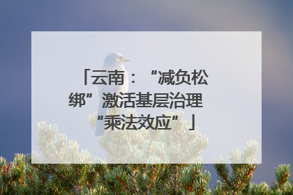 云南：“减负松绑”激活基层治理“乘法效应”