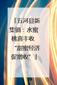 五河县新集镇：水蜜桃喜丰收 “甜蜜经济促增收”