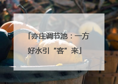 亦庄调节池：一方好水引“客”来