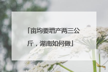 亩均要增产两三公斤，湖南如何做